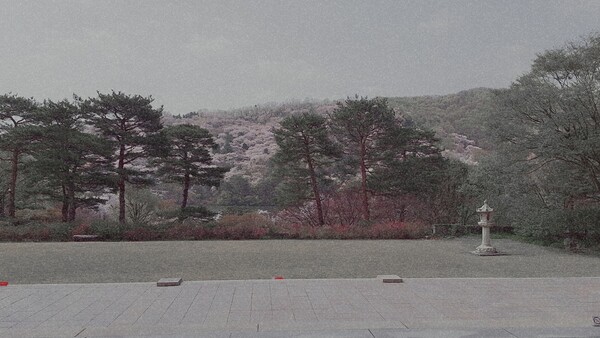 미술관에서 바라본 산의 전경